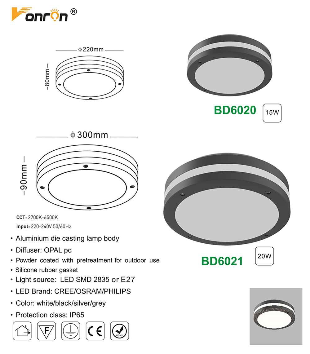 BD6020_01.jpg